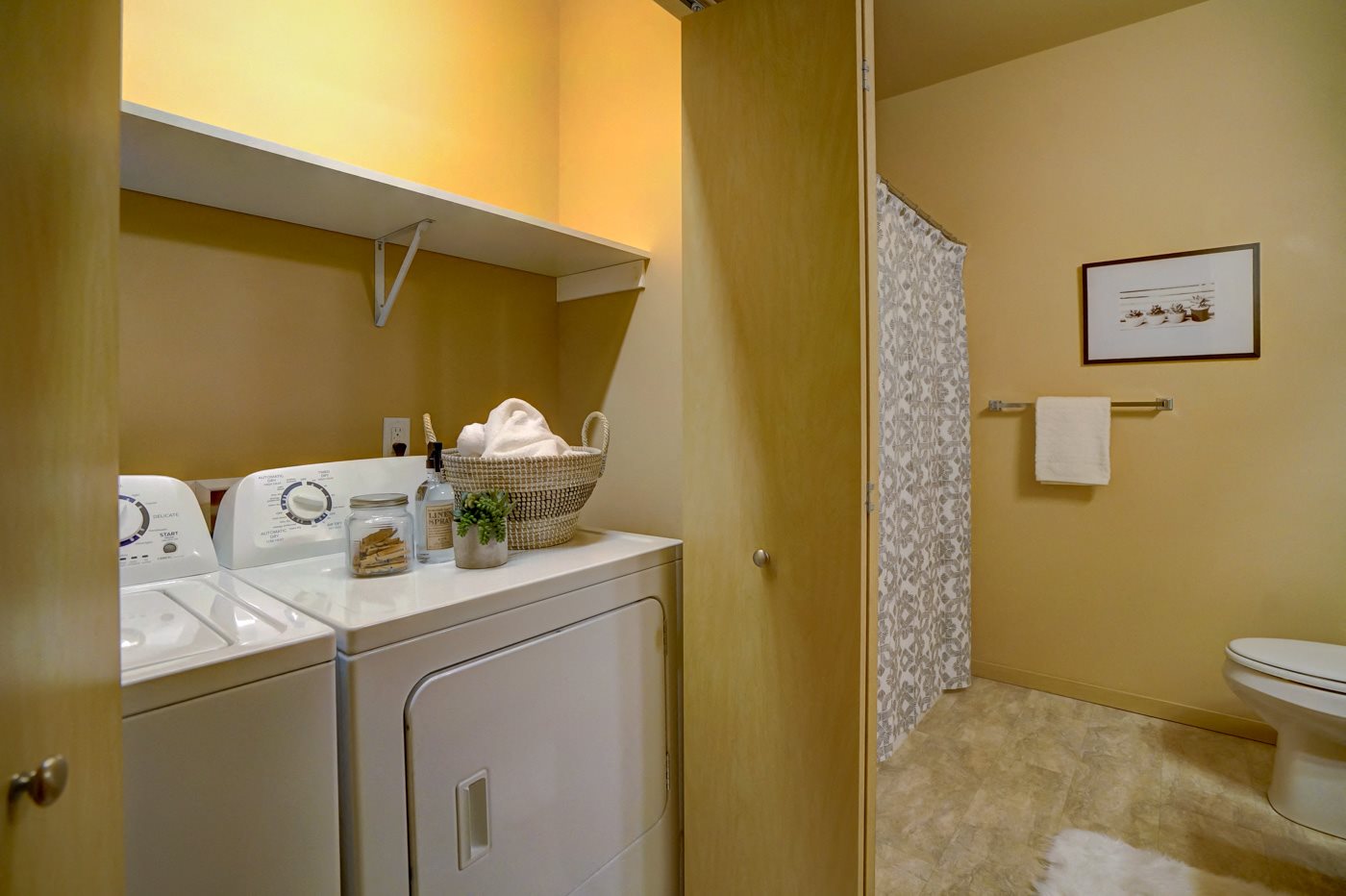 Gallery Photo 19